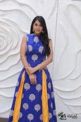 Regina Cassandra at Shaurya Movie Release Press Meet